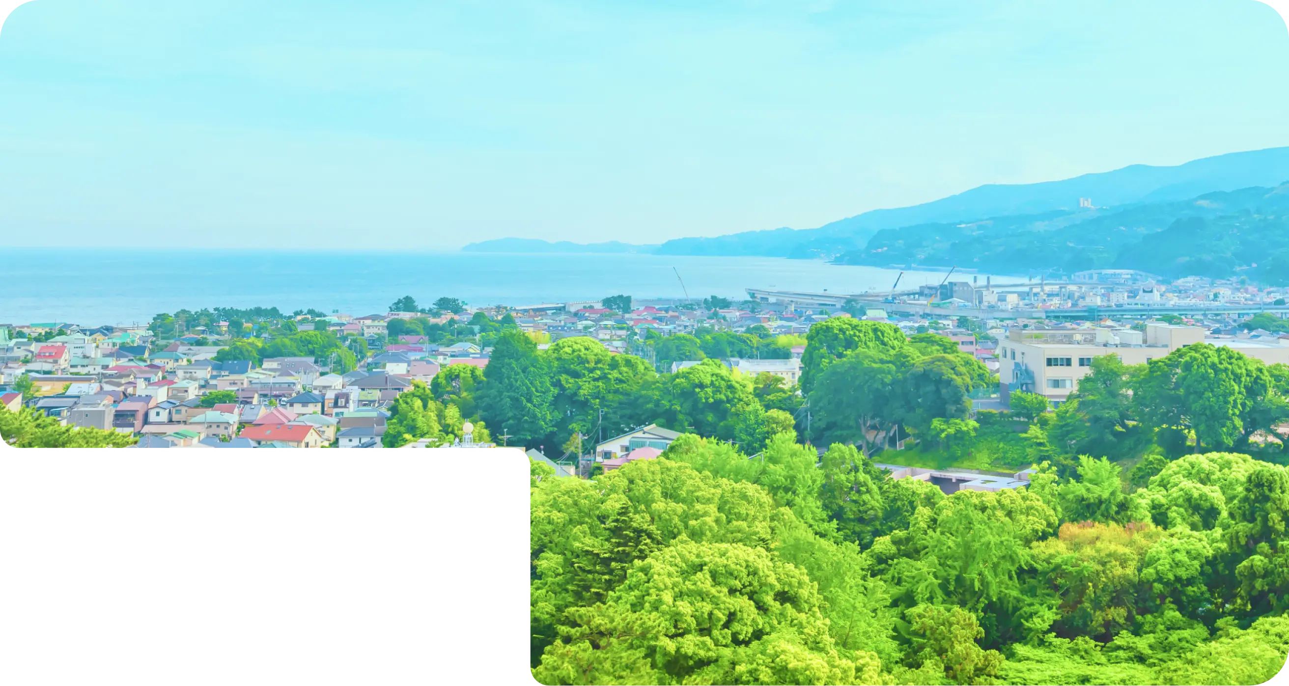 ファーストビュー1：株式会社ヴェルリース